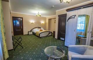 Отель Conacul Domnesc Сучава Двухместный номер с 1 кроватью-4